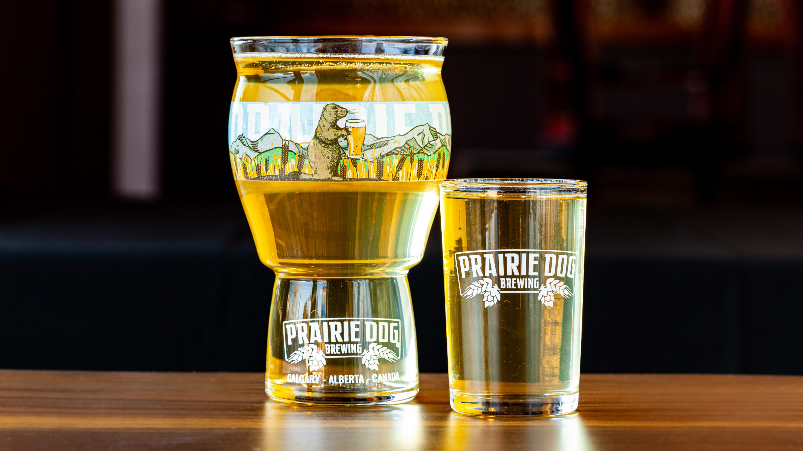 A 16-oz US pint and 5-oz taster pour of Uncommon Dry Apple Cider (Gluten Free) at Prairie Dog Brewing.