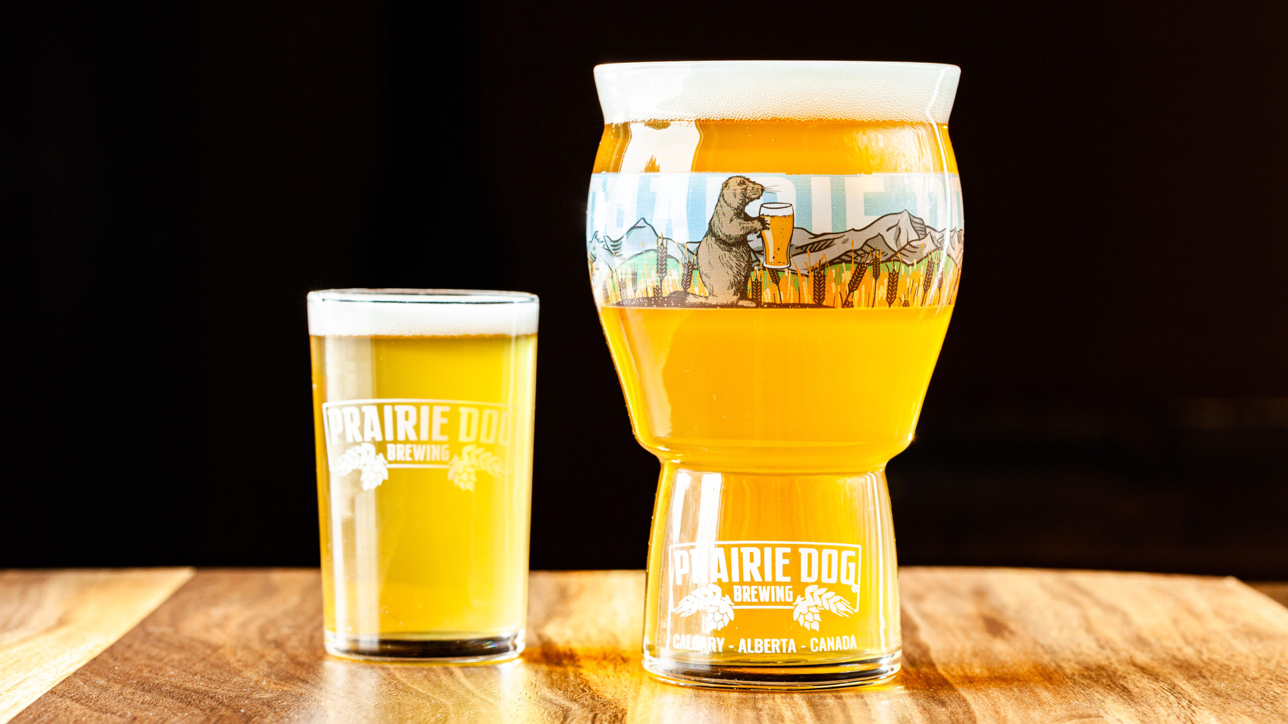Prairie Dog Brewing's Strait-Laced Saison in two sizes of draft pour - 5oz and 16oz.