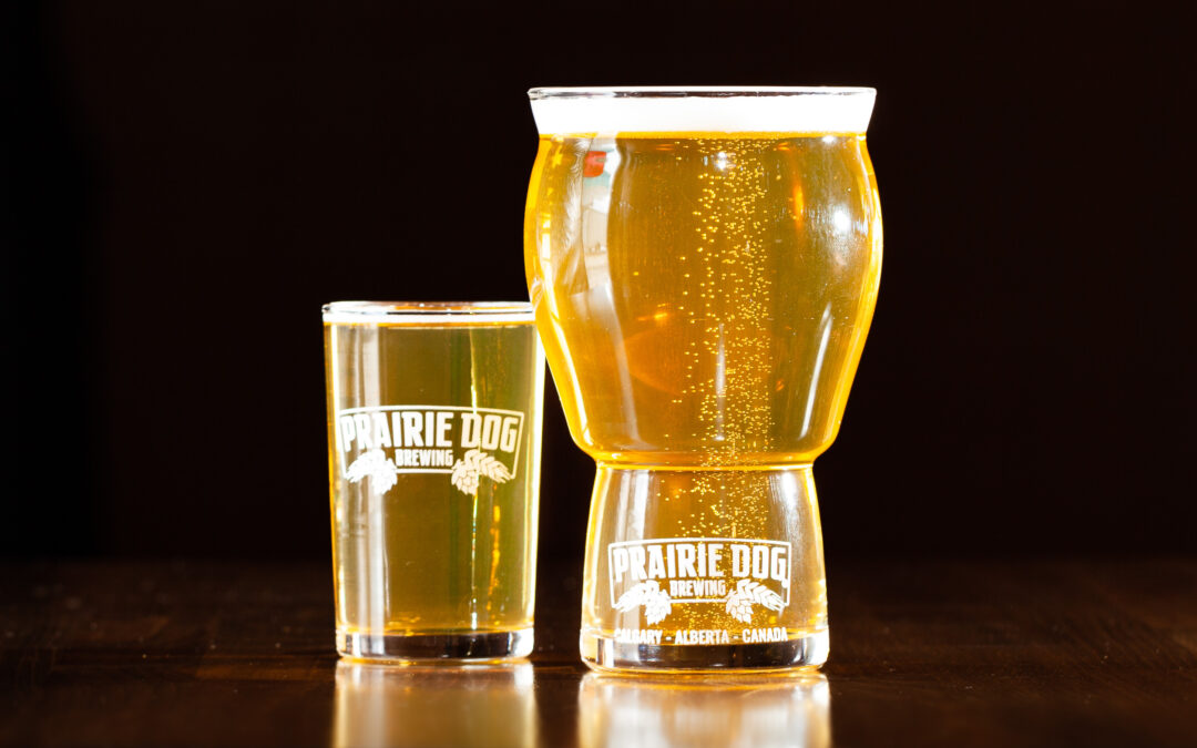 Prairie Dog Brewing and XhAle Brew Co. collab beer Crispy Gurl, a Cold IPA, in both a 5oz (150mL) and a 16oz (473mL) pour in Prairie Dog Brewing beer glasses.