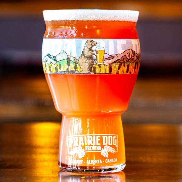 Prairie Dog Brewing Berry Burrow in 16oz (473mL) branded pint glass.
