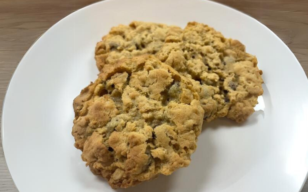 Chocolate Chip Oatmeal Cookie